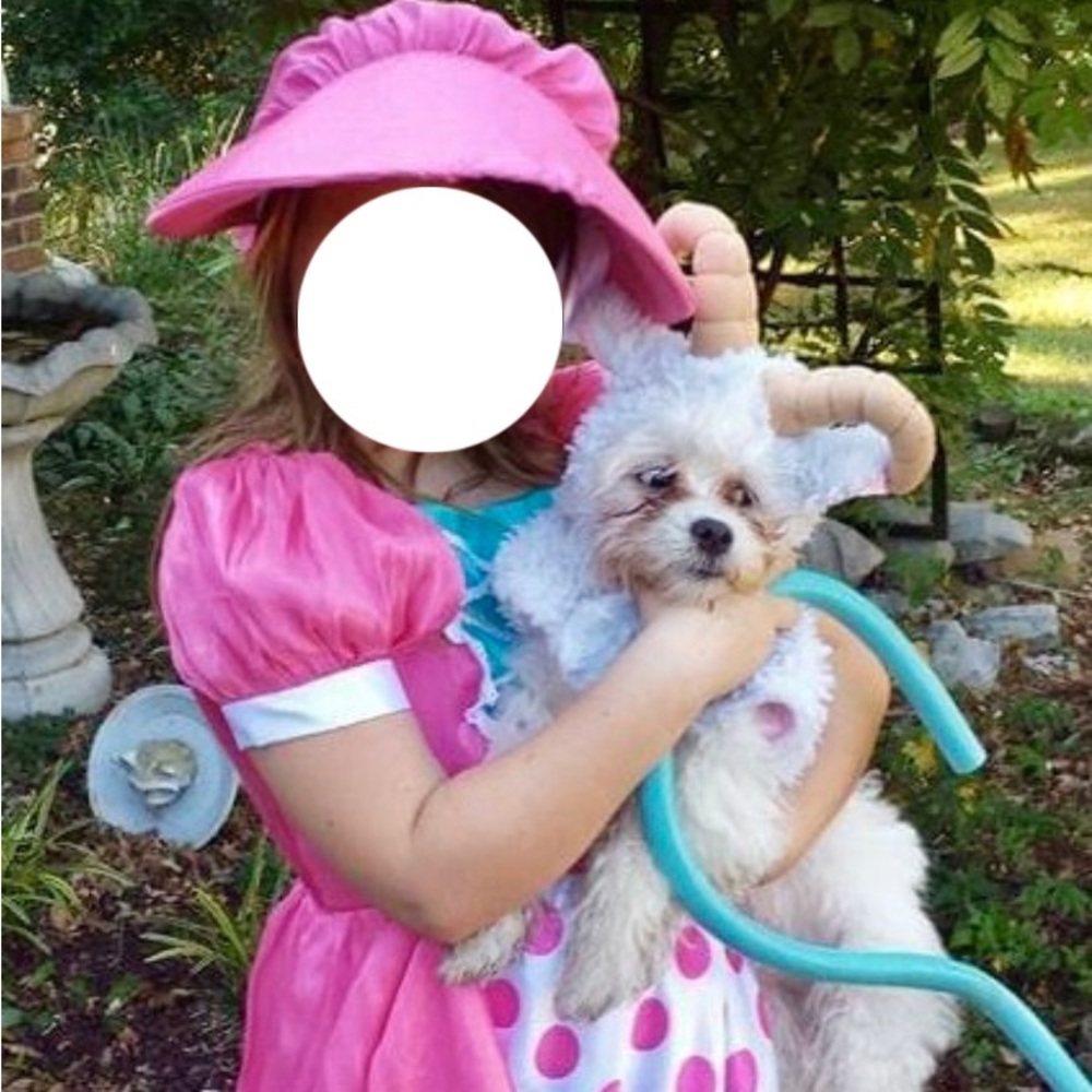 Halloween Bo Peep & dog sheep!!